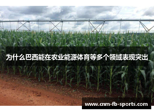 为什么巴西能在农业能源体育等多个领域表现突出 为什么巴西能在农业能源体育等多个领域表现突出