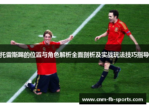 托雷斯踢的位置与角色解析全面剖析及实战玩法技巧指导