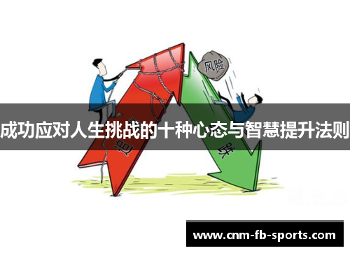 成功应对人生挑战的十种心态与智慧提升法则 成功应对人生挑战的十种心态与智慧提升法则