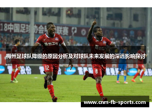 梅州足球队降级的原因分析及对球队未来发展的深远影响探讨