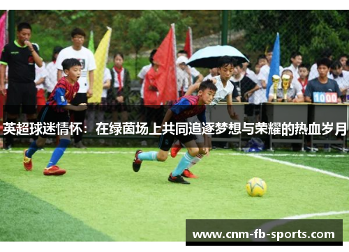 英超球迷情怀：在绿茵场上共同追逐梦想与荣耀的热血岁月