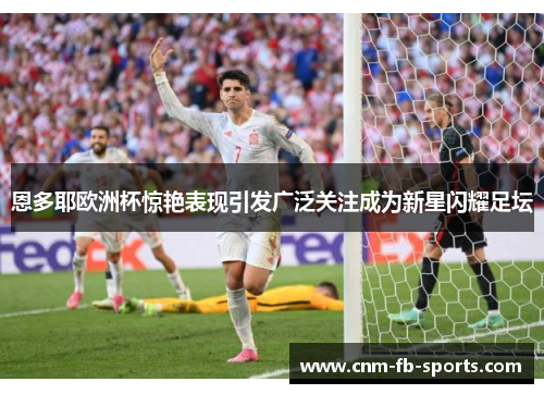 恩多耶欧洲杯惊艳表现引发广泛关注成为新星闪耀足坛